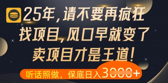 什么？25年你还在疯狂找项目做，醒醒吧，看完这些你全都懂了【揭秘】-吾爱自习网