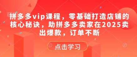 拼多多vip课程，零基础打造店铺的核心秘诀，助拼多多卖家在2025卖出爆款，订单不断-吾爱自习网