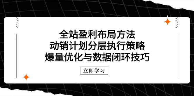 全站盈利布局方法：动销计划分层执行策略，爆量优化与数据闭环技巧-吾爱自习网