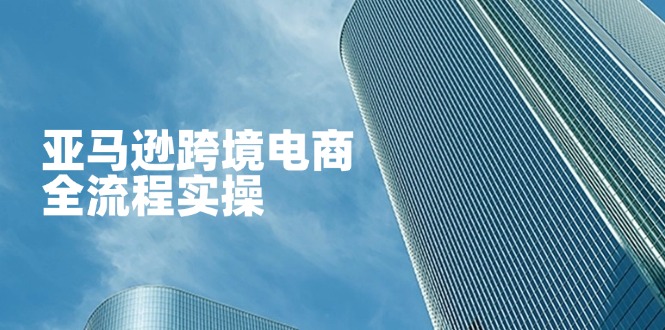 亚马逊跨境电商全流程实操，教你从零开始，掌握店铺运营与广告技巧-吾爱自习网