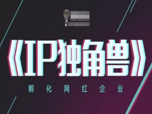 IP独角兽，孵化网红企业，ip教程-吾爱自习网