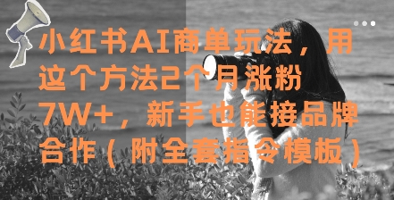 小红书AI商单玩法，用这个方法2个月涨粉7W+，新手也能接品牌合作(附全套指令模板)-吾爱自习网