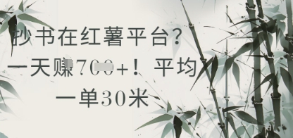 抄书在小红薯平台？平均一单30米，一天收益几张！-吾爱自习网