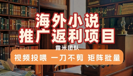 海外小说推广返利项目，视频投喂， 一刀不剪，矩阵批量-吾爱自习网