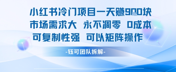 小红书冷门项目一天收益9张，市场需求大，0成本，可复制性强可以矩阵操作-吾爱自习网