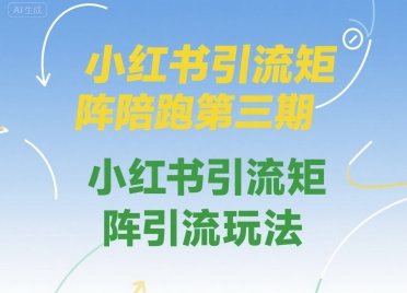 小红书引流矩阵陪跑第三期，小红书引流矩阵引流玩法-吾爱自习网