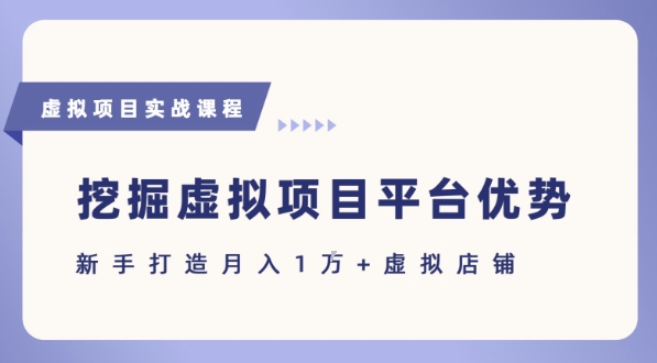 抓住虚拟项目各平台优势，新手轻松月入1W+(给出具体建议)-吾爱自习网