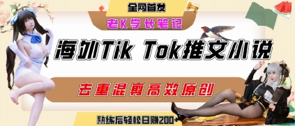 海外tiktok小说推文暴力项目，高停留率，高转化率，上手后一天搞顿饭钱不是问题-吾爱自习网