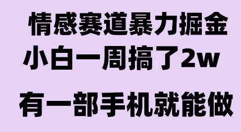 情感暴力掘金项目，新人操作一周挣了2W，长期稳定小白可做【揭秘】-吾爱自习网