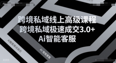 跨境私域线上高级课程，跨境私域极速成交3.0+Ai智能客服-吾爱自习网