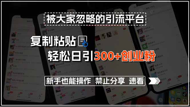 被大家忽略的引流平台，复制粘贴轻松日引300+创业粉，新手也能操作，禁…-吾爱自习网