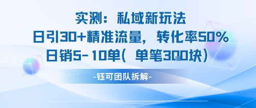 实测私域新玩法日引30加精准流量转化率50%日销5-10单每笔3张-吾爱自习网