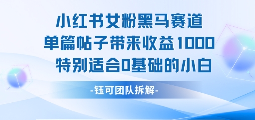 小红书女粉黑马赛道单篇帖子带来收益1k+，特别适合0基础的小白-吾爱自习网