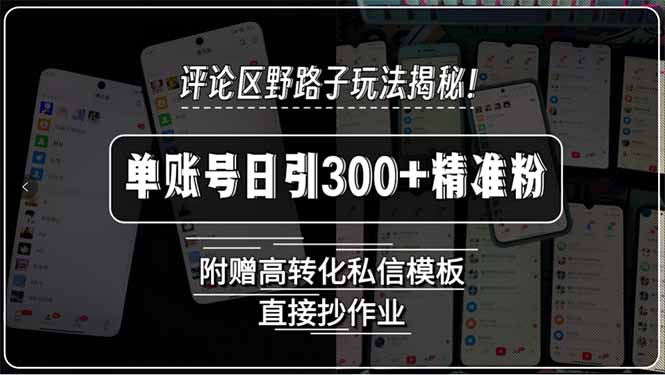 评论区野路子玩法揭秘！单账号日引300+精准粉，附赠高转化私信模板，直…-吾爱自习网