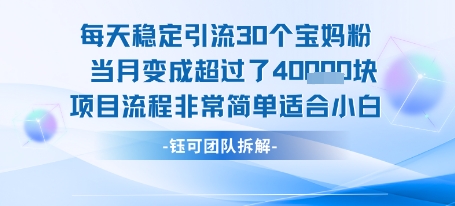 每天稳定引流30个人 当月变成超过了4个W项目流程非常简单适合小白-吾爱自习网