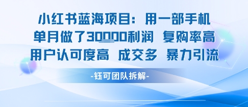 小红书蓝海项目，一部手机单月做了3W利润，小白也能月入过1W用户认可度高成交多-吾爱自习网