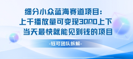 小众蓝海赛道项目：当天变现1k+适合新手操作 +适合长期玩-吾爱自习网