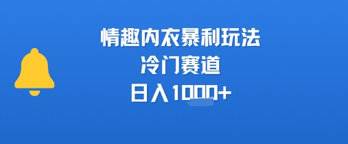 情趣内衣暴利玩法，冷门赛道，日入1k+-吾爱自习网