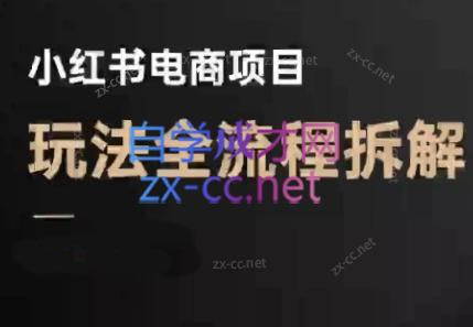 菲菲老师·小红书电商玩法(更新7月)-吾爱自习网