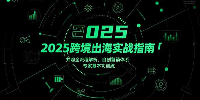 2025跨境出海实战指南，并购全流程解析，自创营销体系，专家基本功训练-吾爱自习网