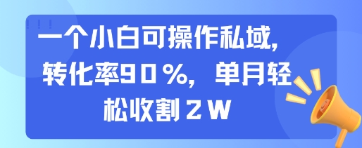 一个小白可操作私域，转化率90%，单月轻松收割2W-吾爱自习网