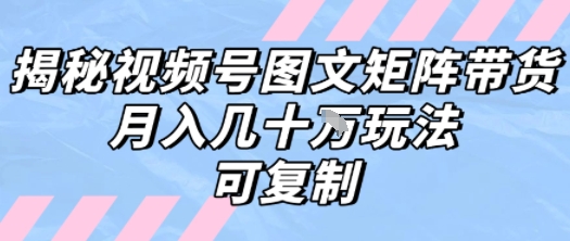 解密视频号图文矩阵带货，月入几个W的打法，可复制-吾爱自习网