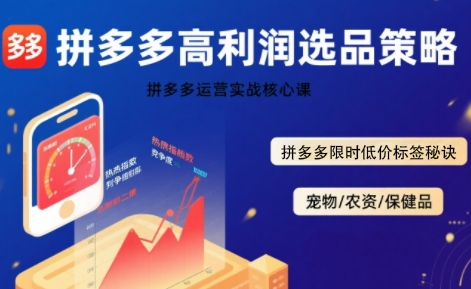 拼多多选品暴利技术实战课，拼多多高利润选品策略，拼多多限时低价标签秘诀-吾爱自习网