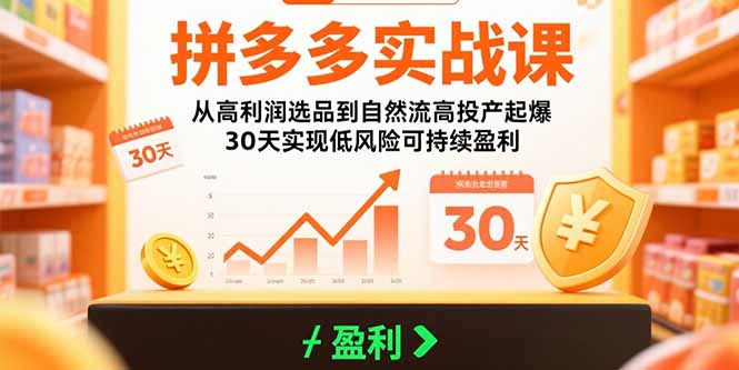 拼多多实战课:从高利润选品到自然流高投产起爆 30天实现低风险可持续盈利-吾爱自习网