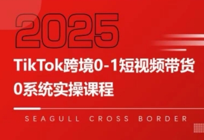 大亿老师·TikTok跨境0-1短视频带货-吾爱自习网