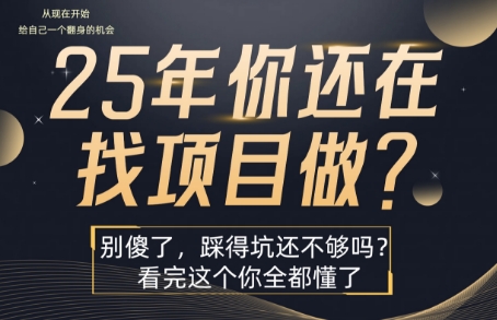 25年，你还在疯狂的找项目吗？别傻了，看完这个你都懂了【揭秘】-吾爱自习网