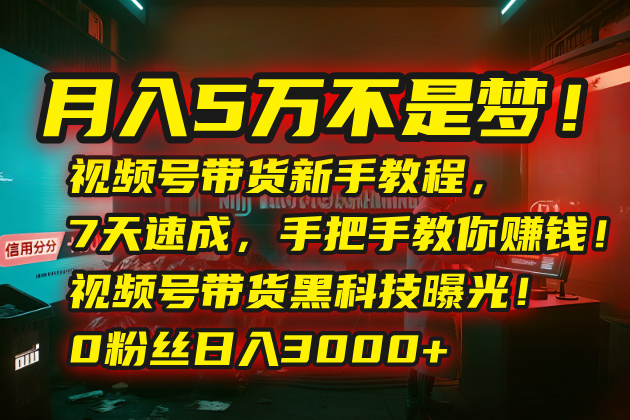 月入5万不是梦！视频号带货新手教程，7天速成，手把手教你赚钱！视频号…-吾爱自习网
