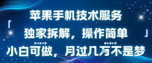 苹果手机技术服务，独家拆解，操作简单，小白可做，月过1W不是梦-吾爱自习网