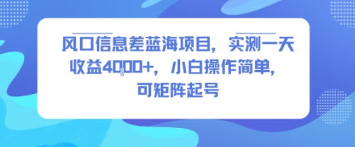 风口信息差蓝海项目，实测一天收益4k+，小白操作简单，可矩阵起号-吾爱自习网