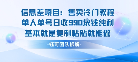 信息差项目：售卖冷门教程单人单号日收9张纯利基本就是复制粘贴就能做-吾爱自习网