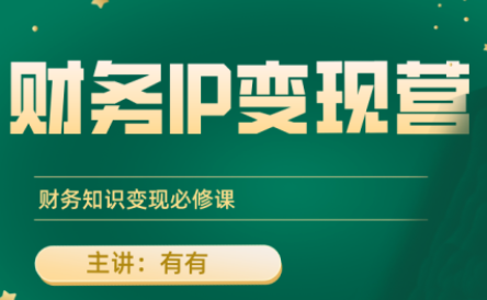 有有老师·财务IP变现营，财务知识变现必修课-吾爱自习网