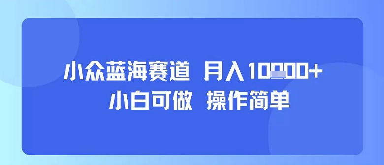 小众蓝海赛道，小白可做，操作简单，每天30分钟，月入1W+-吾爱自习网