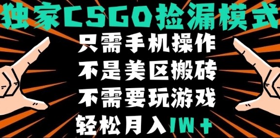 CSGO自动捡漏项目，最新独家玩法，不是美区搬砖，不需要了解和玩游戏，新手小白轻松月入1W+【揭秘】-吾爱自习网