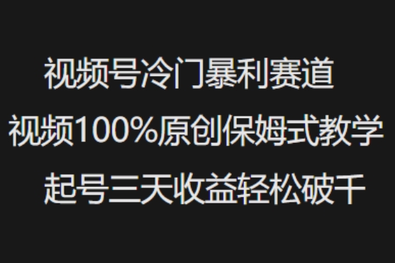 视频号冷门暴利赛道视频100%原创保姆式教学起号三天收益轻松破千-吾爱自习网