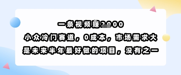 一条视频挣1k，小众冷门赛道，0成本，市场需求大，是未来半年最好做的项目，没有之一-吾爱自习网