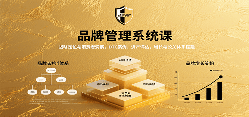 品牌管理系统课：战略定位与消费者洞察，DTC案例、资产评估，增长与公关体系搭建-吾爱自习网