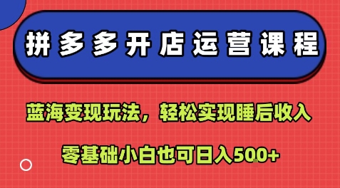 拼多多开店运营课程：蓝海变现玩法，轻松实现睡后收入，零基础小白也可日入5张-吾爱自习网
