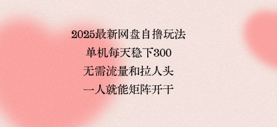 2025最新网盘自撸玩法，单机每天稳下3张，无需流量和拉人头，一个人就可轻松矩阵，全网独一份【揭秘】-吾爱自习网