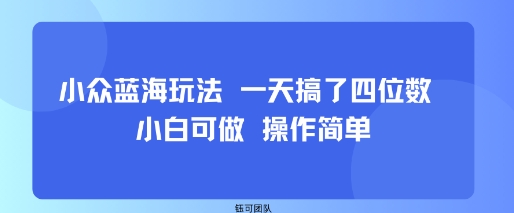 小众蓝海玩法 一天搞了四位数 小白可做 操作简单-吾爱自习网