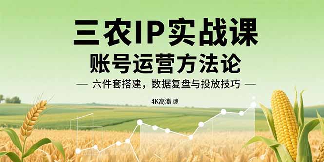 三农IP实战课：账号运营方法论，六件套搭建，数据复盘与投放技巧-吾爱自习网