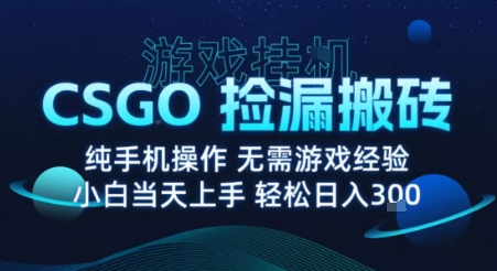 8月最新游戏搬砖,CSGO纯挂G,不需要玩游戏,实现真挂G,月入1W+【揭秘】-吾爱自习网