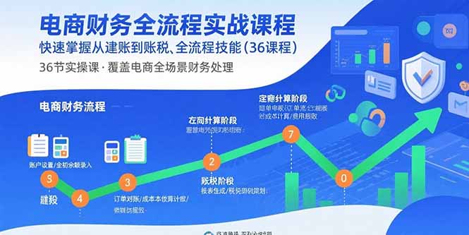 电商财务全流程实战课程：快速掌握从建账到报税的全流程技能(36节课-吾爱自习网