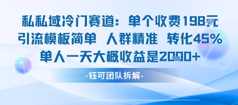私域冷门赛道单个收费198米引流模板简单人群精准 45%的转化率单人一天大概收益多张-吾爱自习网