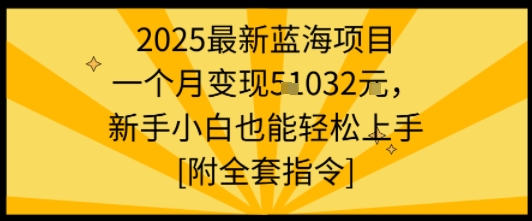 2025最新蓝海项目一个月变现1w+新手小白也能轻松上手【附全套指令】-吾爱自习网