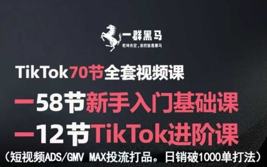 TikTok全套视频课，新手入门+进阶课，短视频ADS-GMV MAX投流打品，日销破1000单打法-吾爱自习网
