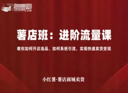 小红薯薯店商城卖货，进阶流量课，教你如何开店选品、如何系统引流，实现快速卖货变现-吾爱自习网
